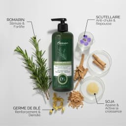 Natural Anti-Hair Loss & Regrowth Duo – 300ml Shampoo & 100ml Lotion – 90-Day Treatment